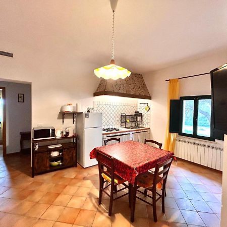 I Girasoli Di Lari - Appartamento Indipendente 2 Camere Da Letto Rivoli  Exterior foto