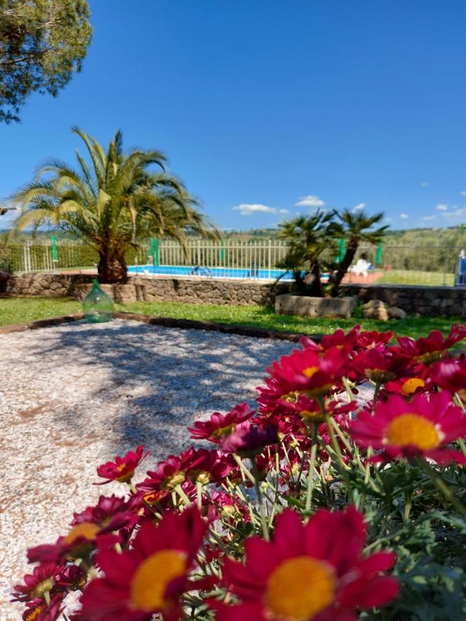 I Girasoli Di Lari - Appartamento Indipendente 2 Camere Da Letto Rivoli  Exterior foto